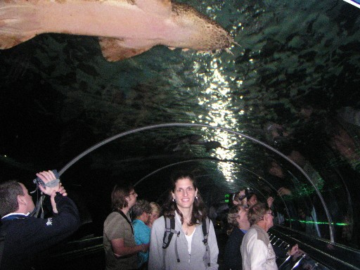The Sydney Aquarium.