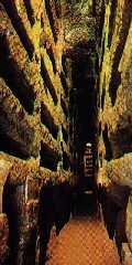 The catacombs
