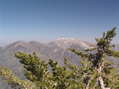 View of Mt. Baldy from the north side.