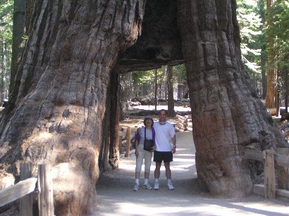 My cousin Erik and Mom at the California tree tunnel, 2005.